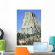 Devils Tower National Monument Wall Decal Design 1