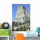 Devils Tower National Monument Wall Decal Design 1