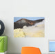 Fumarole Field Rim Volcano Wall Decal Design 2