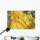 Liquid Sulphur Flow Kawah Wall Decal
