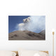 Ash Cloud from Bocca Wall Decal