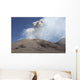 Ash Cloud from Bocca Wall Decal
