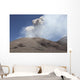Ash Cloud from Bocca Wall Decal