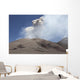 Ash Cloud from Bocca Wall Decal