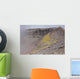 Degassing North Crater with Wall Decal Design 2