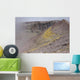 Degassing North Crater with Wall Decal Design 2