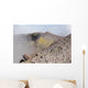 Degassing North Crater with Wall Decal Design 1