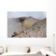 Degassing North Crater with Wall Decal Design 1