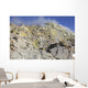 Fumaroles with Sulphur Deposits Wall Decal Design 2