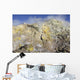 Fumaroles with Sulphur Deposits Wall Decal Design 1