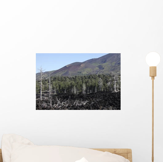 Volcanic Landscape Mount Etna Wall Decal
