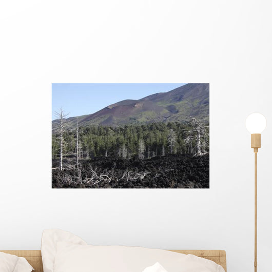 Volcanic Landscape Mount Etna Wall Decal