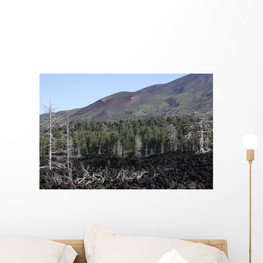 Volcanic Landscape Mount Etna Wall Decal