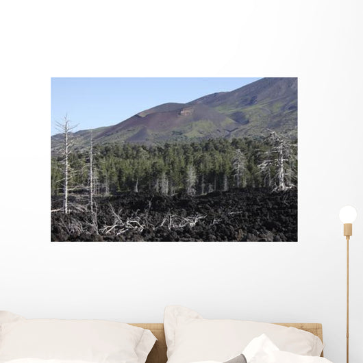 Volcanic Landscape Mount Etna Wall Decal