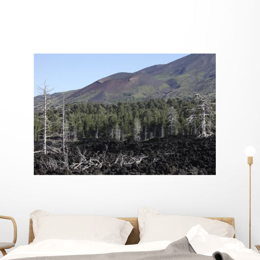 Volcanic Landscape Mount Etna Wall Decal