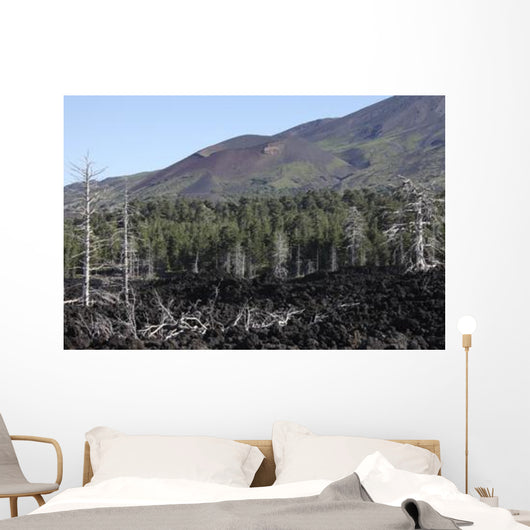 Volcanic Landscape Mount Etna Wall Decal