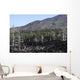 Volcanic Landscape Mount Etna Wall Decal