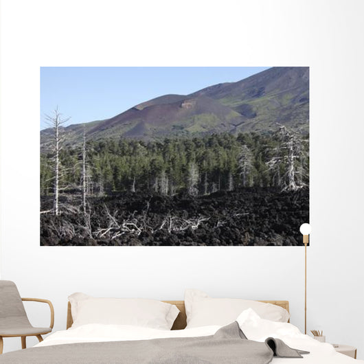 Volcanic Landscape Mount Etna Wall Decal