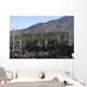Volcanic Landscape Mount Etna Wall Decal