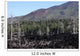 Volcanic Landscape Mount Etna Wall Decal