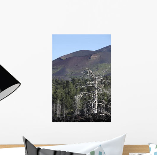 Dead Tree amongst Volcanic Wall Decal