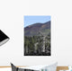 Dead Tree amongst Volcanic Wall Decal