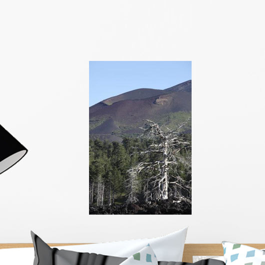 Dead Tree amongst Volcanic Wall Decal