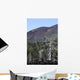 Dead Tree amongst Volcanic Wall Decal