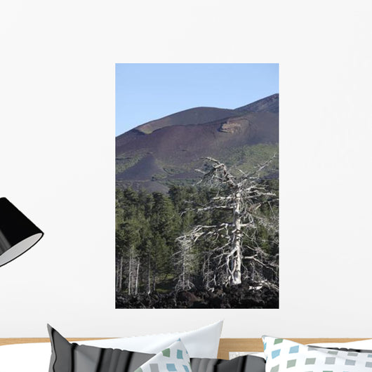 Dead Tree amongst Volcanic Wall Decal
