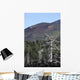Dead Tree amongst Volcanic Wall Decal
