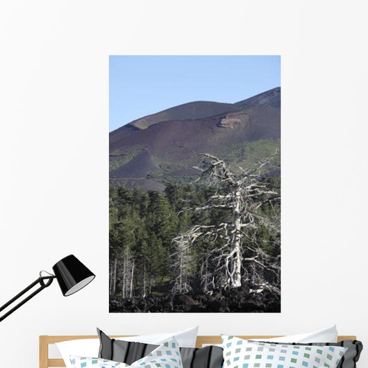Dead Tree amongst Volcanic Wall Decal