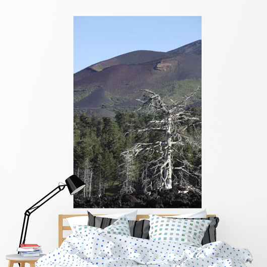 Dead Tree amongst Volcanic Wall Decal