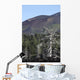 Dead Tree amongst Volcanic Wall Decal