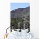 Dead Tree amongst Volcanic Wall Decal