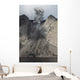 Active Crater and Debris Wall Decal Design 1