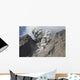 Ash Cloud Rises from Wall Decal Design 9