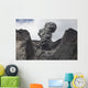 Ash Cloud Rises from Wall Decal Design 1