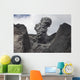 Ash Cloud Rises from Wall Decal Design 1