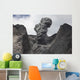 Ash Cloud Rises from Wall Decal Design 1