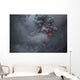 Ash Cloud Rising during Wall Decal