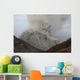 Pyroclastic Flow Descending Flank Wall Decal Design 2
