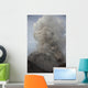 Pyroclastic Flow Descending Flank Wall Decal Design 1