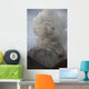 Pyroclastic Flow Descending Flank Wall Decal Design 1