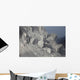 Extrusion Lobes Flank Rerombola Wall Decal Design 2