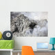 Extrusion Lobe Rerombola Lava Wall Decal