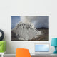 Degassing Rerombola Lava Dome Wall Decal Design 3