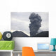 Ash Cloud Rising from Wall Decal Design 24