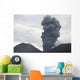 Ash Cloud Rising from Wall Decal Design 24