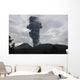Ash Cloud Rising from Wall Decal Design 19