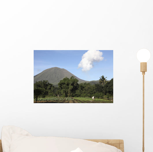 Agriculture near Kinilow Town Wall Decal